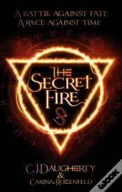 Capa do artigo The Secret Fire