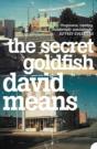The Secret Goldfish - Preview