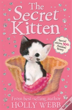 Capa do artigo The Secret Kitten