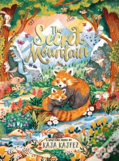 Capa do artigo The Secret Mountain