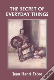 Capa do artigo The Secret Of Everyday Things (Yesterday