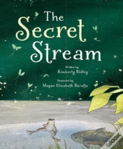 Capa do artigo The Secret Stream