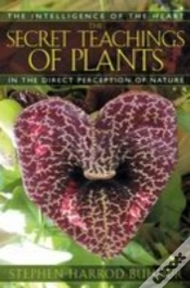 Capa do artigo The Secret Teachings Of Plants