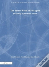 The Secret World Of Flexagons