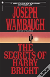 Capa do artigo The Secrets Of Harry Bright