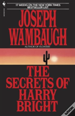 Capa do artigo The Secrets Of Harry Bright