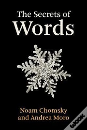 Capa do artigo The Secrets Of Words