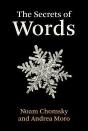 The Secrets Of Words - Preview