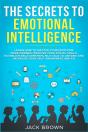 The Secrets To Emotional Intelligence - Preview