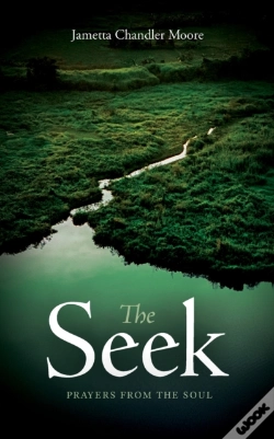 Capa do artigo The Seek