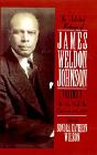 The Selected Writings Of James Weldon Johnson: Volume I: The New York Age Editorials (1914-1923) - Preview