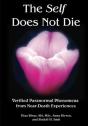 The Self Does Not Die - Preview