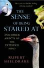 The Sense Of Being Stared At - Preview