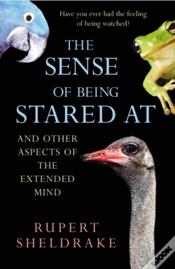 Capa do artigo The Sense Of Being Stared At