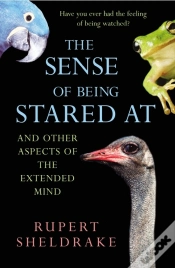 Capa do artigo The Sense Of Being Stared At