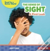 The Sense Of Sight