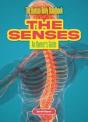 The Senses - Preview