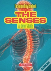 Capa do artigo The Senses