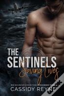 The Sentinels 3