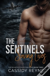 Capa do artigo The Sentinels 3