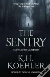 Capa do artigo The Sentry