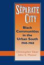 The Separate City - Preview
