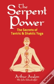 Capa do artigo The Serpent Power