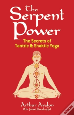 Capa do artigo The Serpent Power