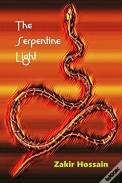 Capa do artigo The Serpentine Light