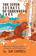 The Seven Secrets Of Somewhere Lake