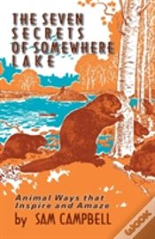 Capa do artigo The Seven Secrets Of Somewhere Lake