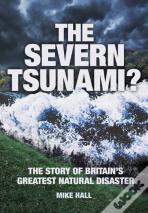 The Severn Tsunami?