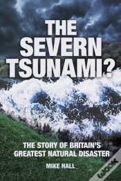 Capa do artigo The Severn Tsunami?
