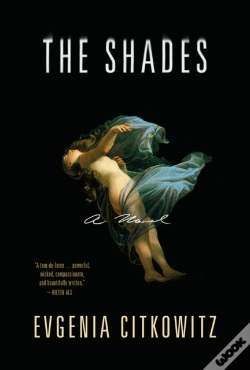 Capa do artigo The Shades