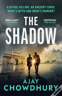 Capa do artigo The Shadow
