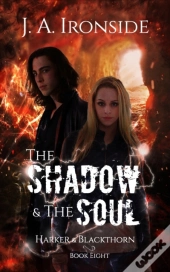 The Shadow & The Soul