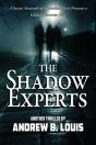 The Shadow Experts - Preview