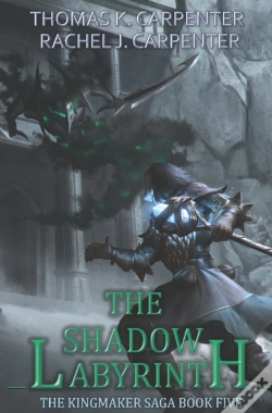 Capa do artigo The Shadow Labyrinth