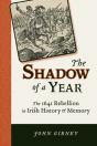 The Shadow Of A Year - Preview
