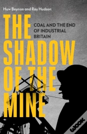 Capa do artigo The Shadow Of The Mine