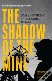 Capa do artigo The Shadow Of The Mine