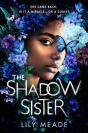 The Shadow Sister - Preview
