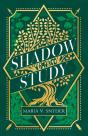 The Shadow Study - Preview