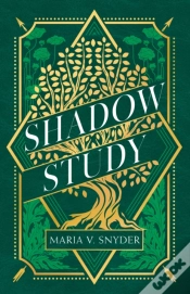 Capa do artigo The Shadow Study