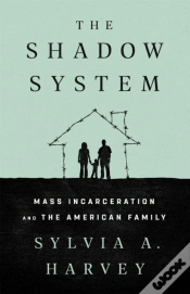 Capa do artigo The Shadow System