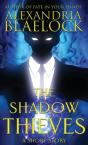 The Shadow Thieves - Preview