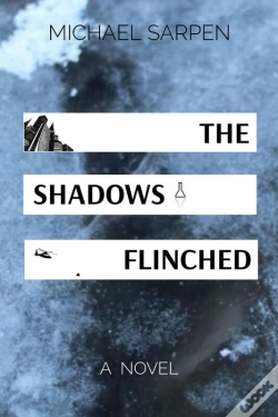 Capa do artigo The Shadows Flinched