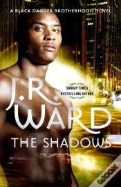 Capa do artigo The Shadows
