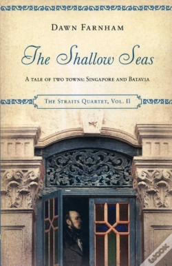 Capa do artigo The Shallow Seas