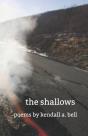 The Shallows - Preview